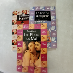 Produit 703331
